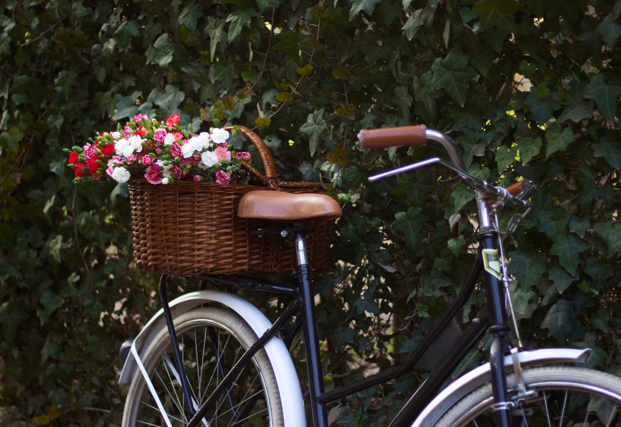 FoldX TravelOne Fahrrad